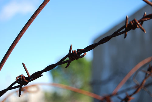 Rivesaltes: Alambradas.