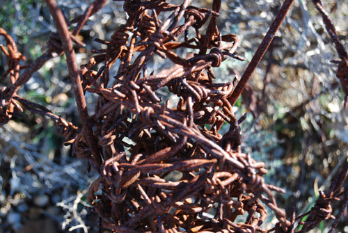 Rivesaltes: Alambradas.